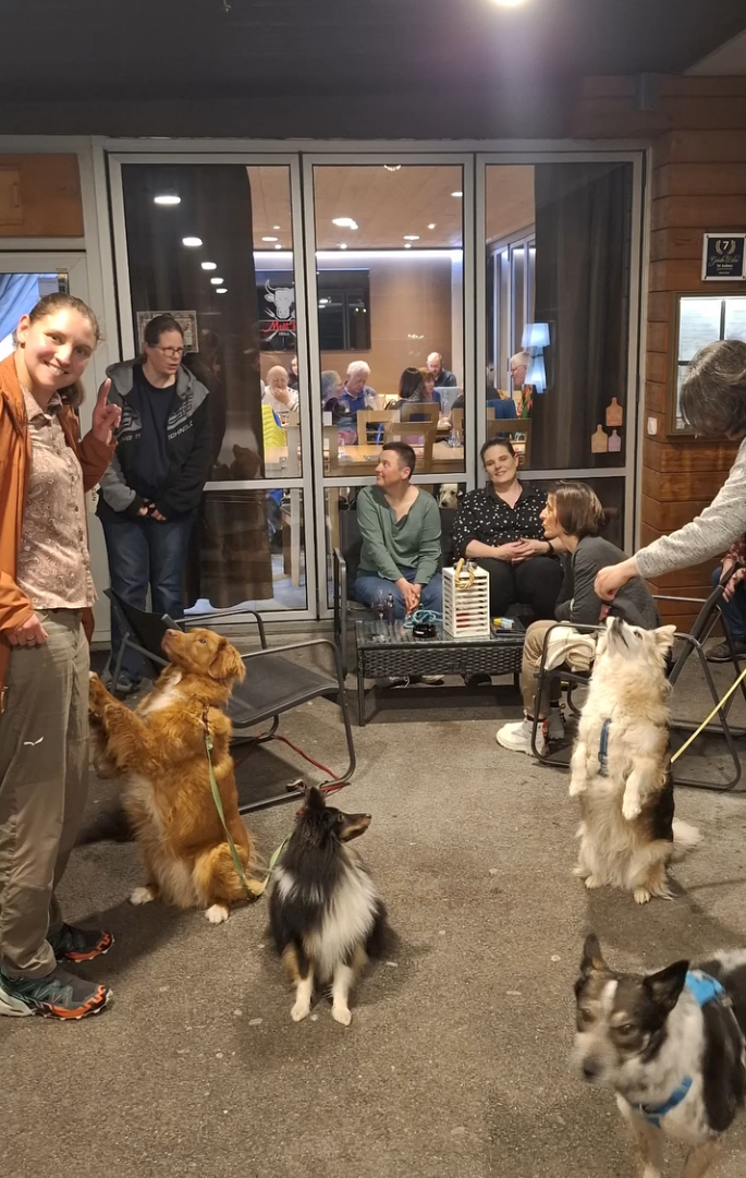 Des membres et leurs chiens réunis pour un moment convivial